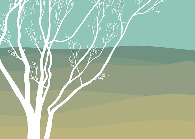 white trees 4