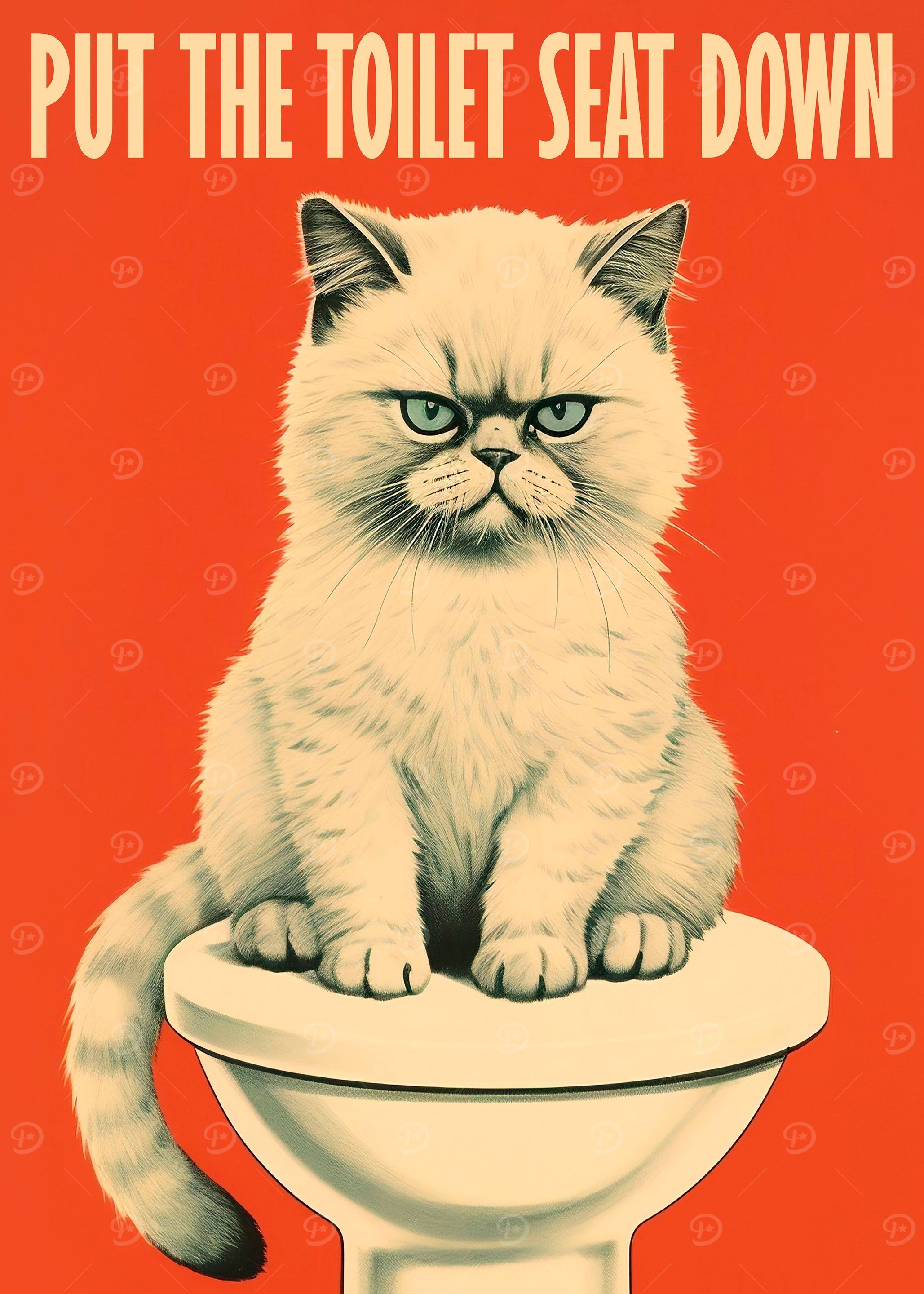 Cat's Bathroom Rules