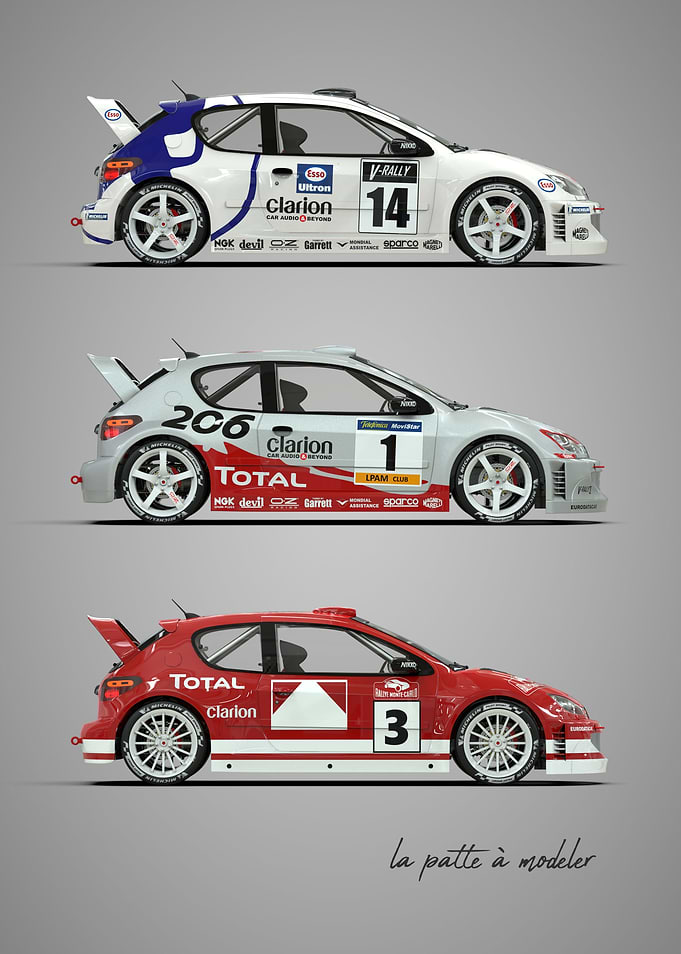 Peugeot 206 Rallye car