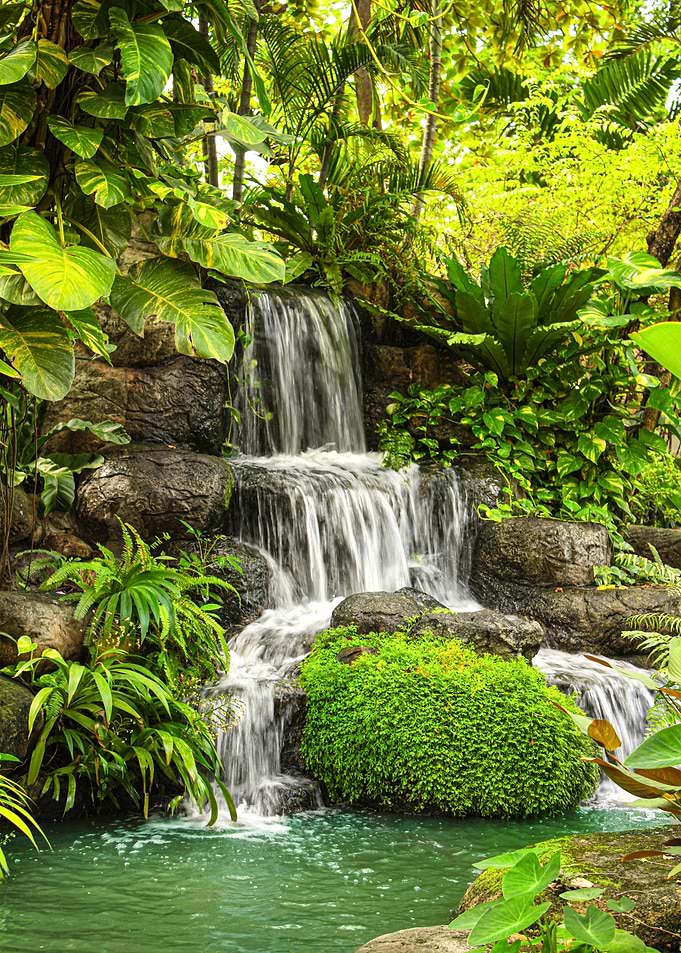 Waterfall in Jungle
