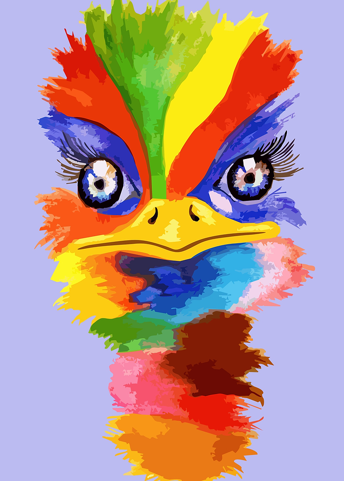 Colorful Ostrich