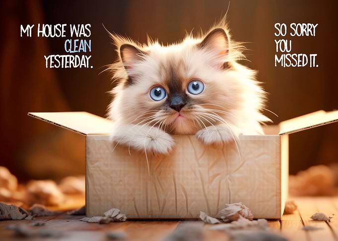 FUNNY CAT Cleanliness