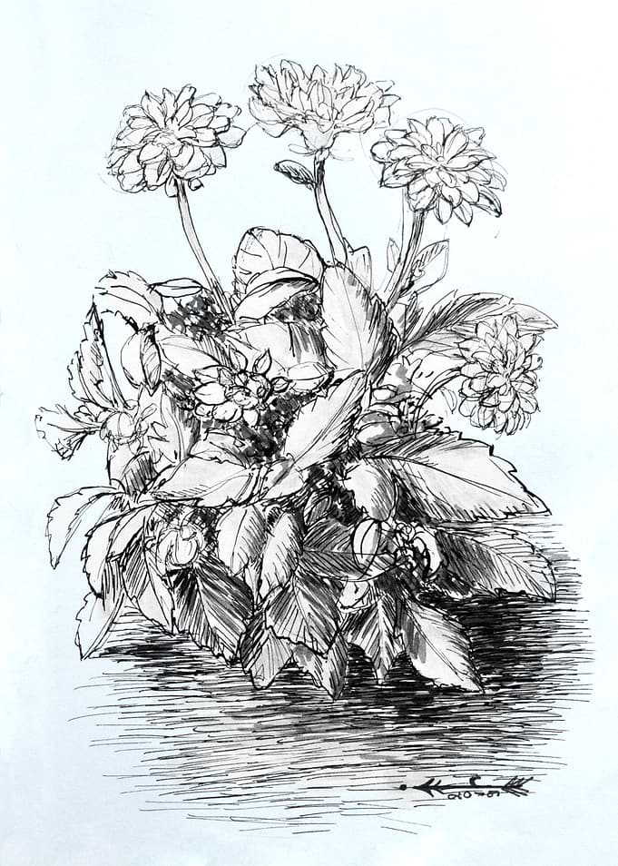 Flowers Ink Drawing