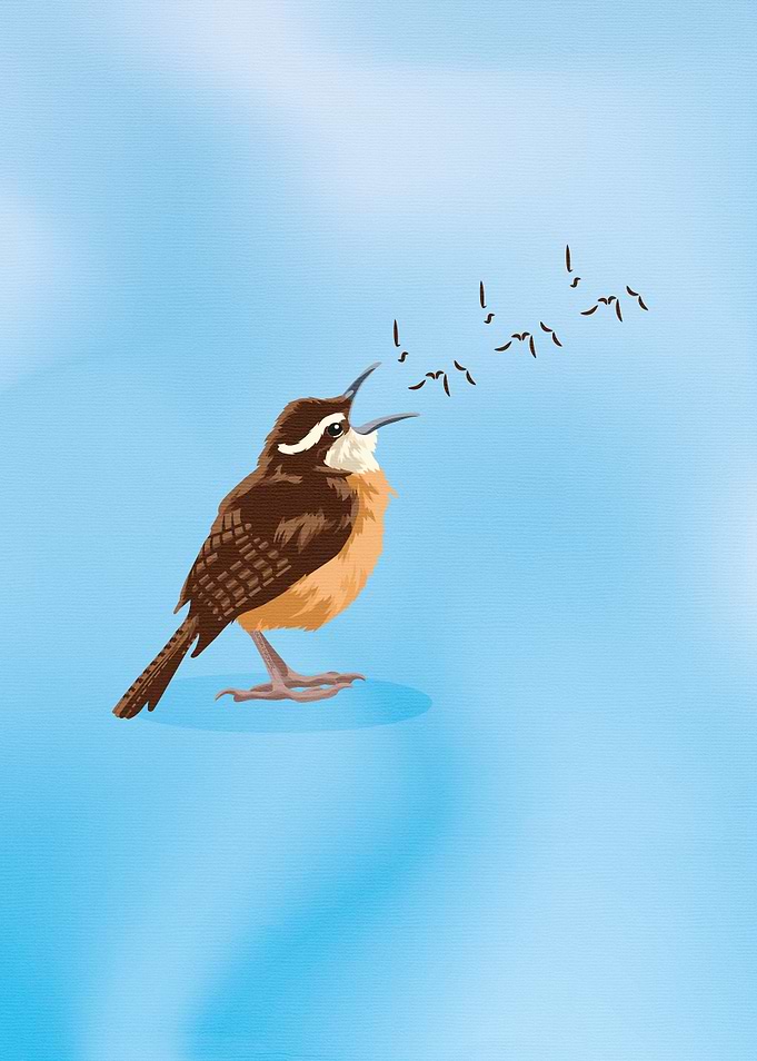Carolina wren bird singing
