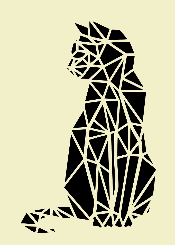 Geometric Cat 3
