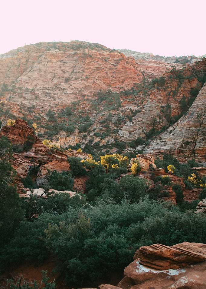 Sunlit Rock Canopy