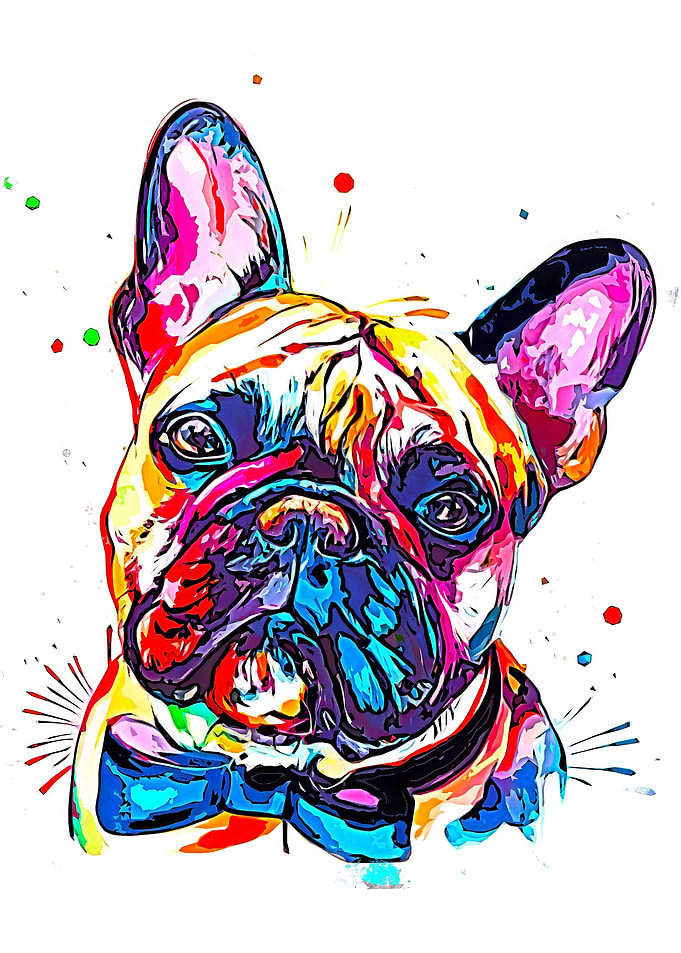 French Bulldog
