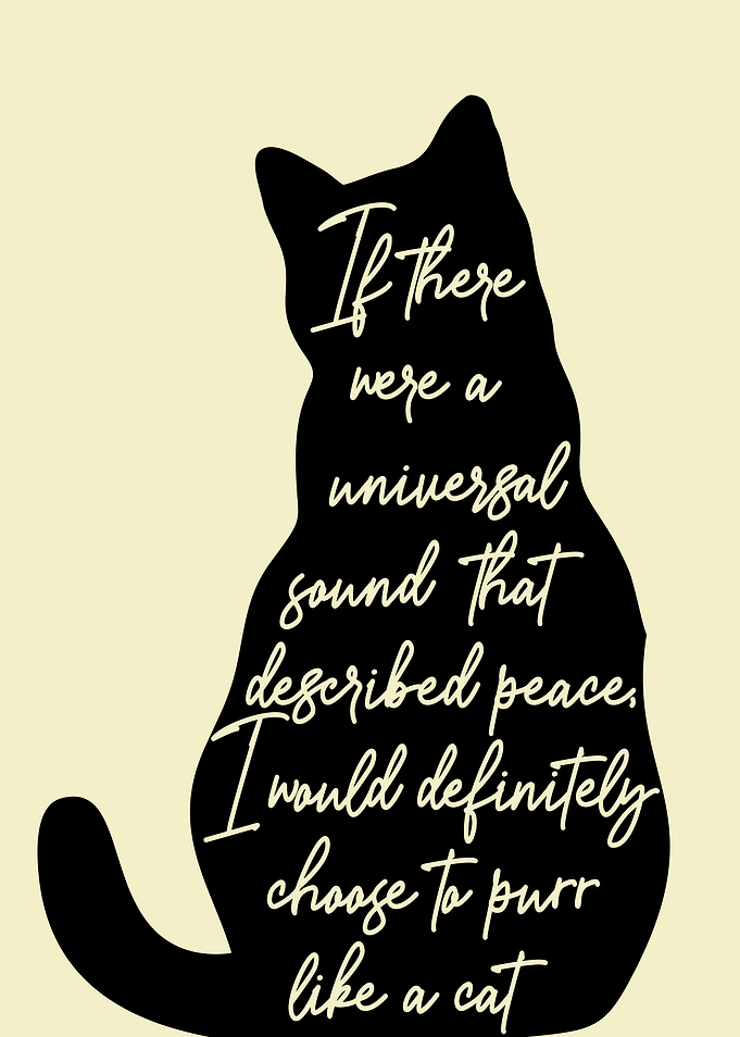 Peace Cat