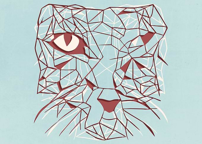 Abstract Splash Cats