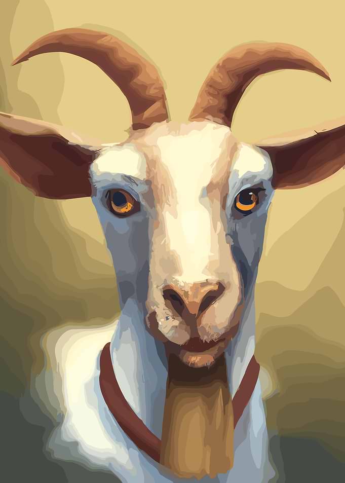 Happy Goat