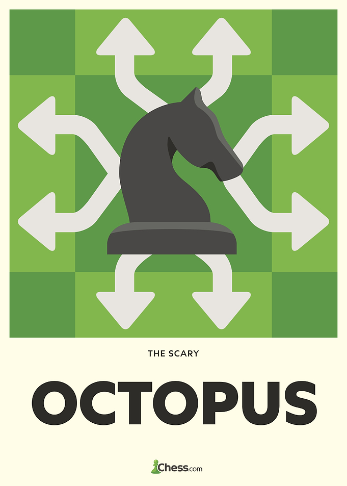 The Scary Octopus