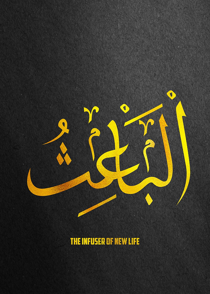 The Infuse Of new life