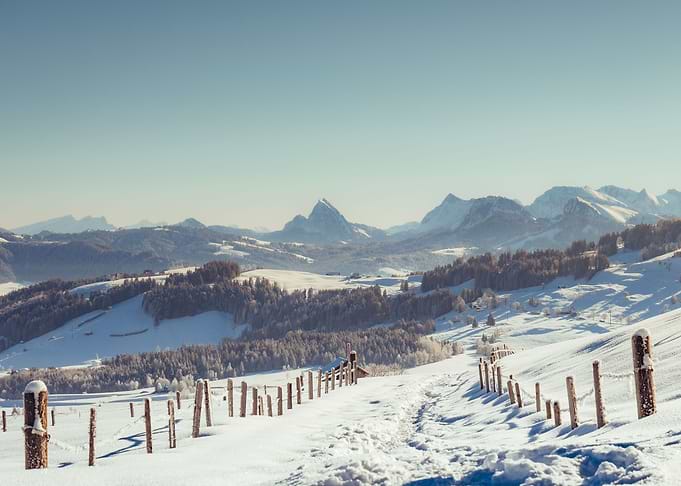 Mountain Powder Snow Path