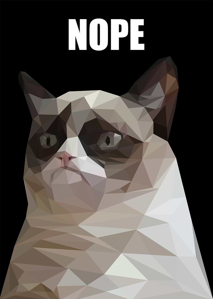 nope grumpy cat meme