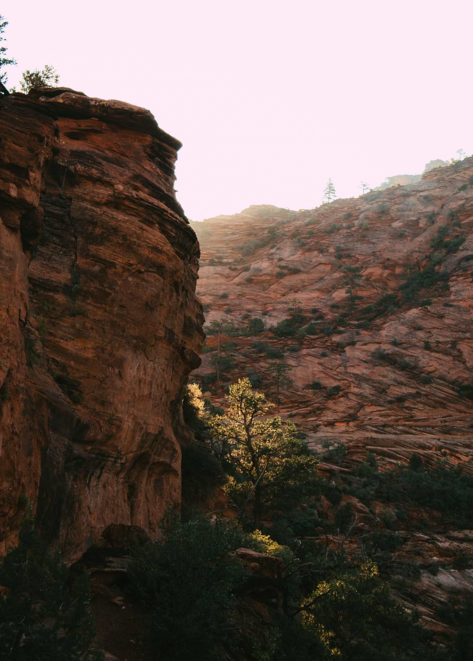 Sunlit Zion Peaks