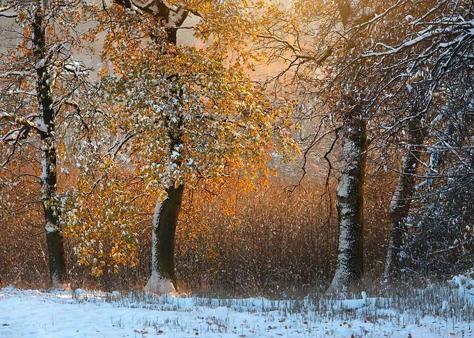 Autumn impression