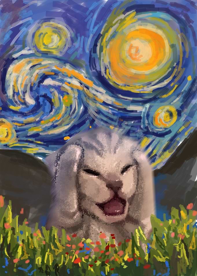 screaming cat starry night
