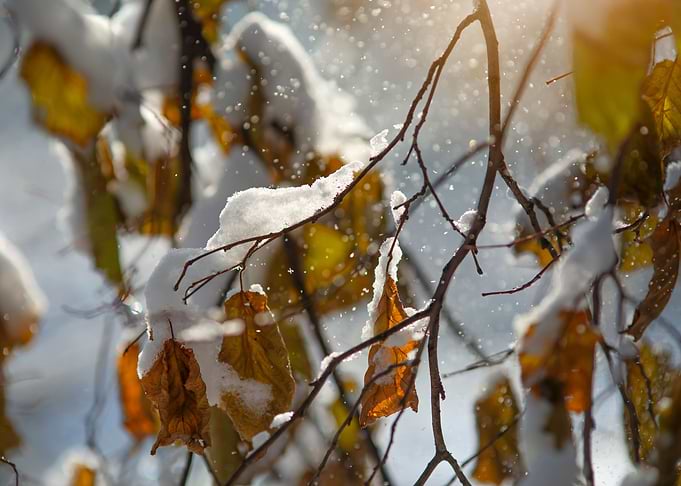 Wintertime
