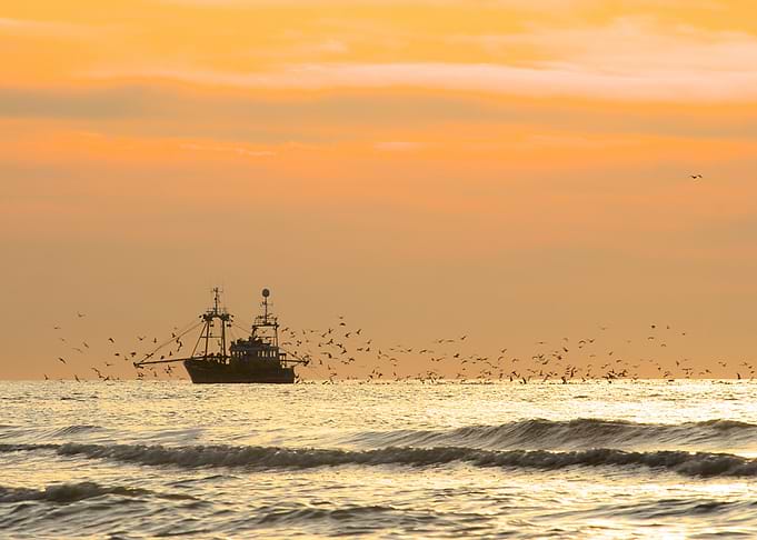 Sunset fishing boat