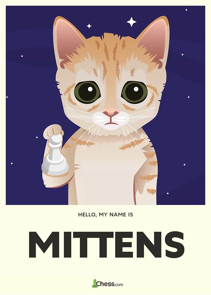 Mittens Stars