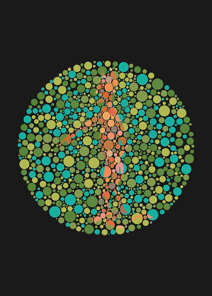 ishihara eye test