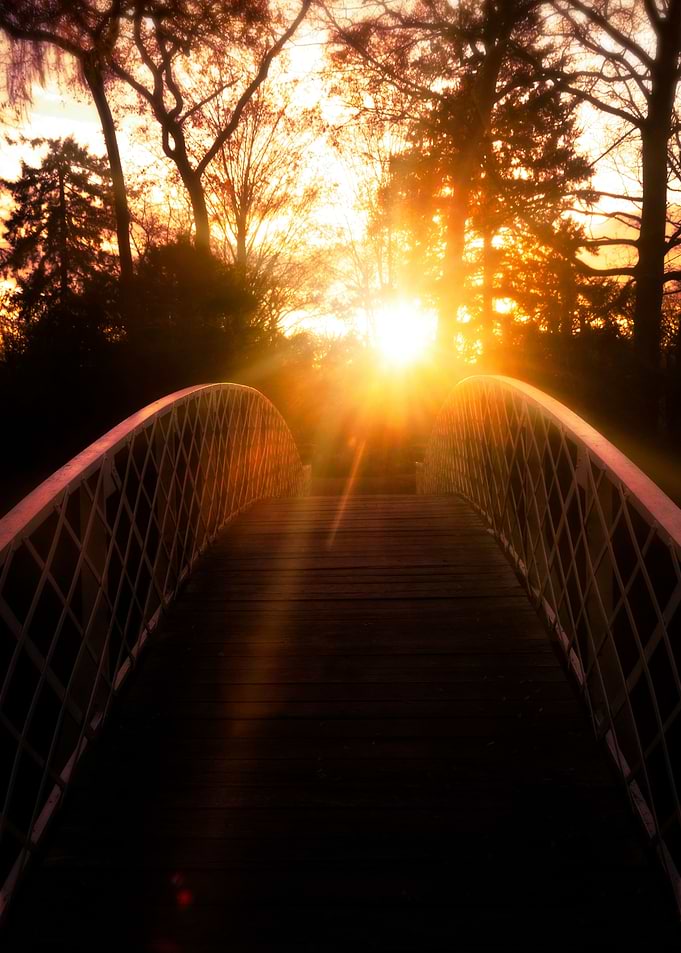 Towards the sun
