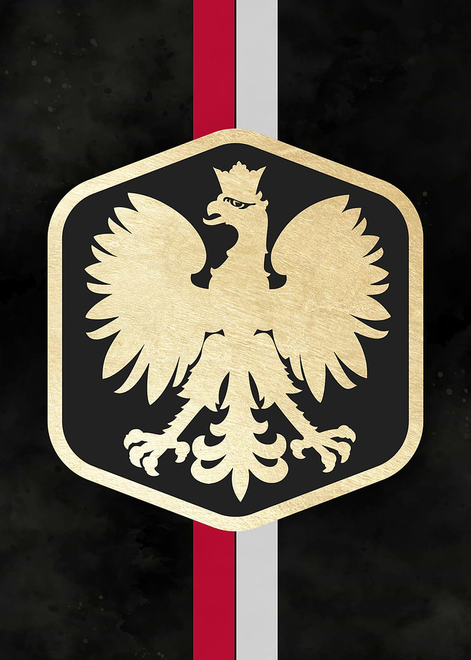 Polish national football t