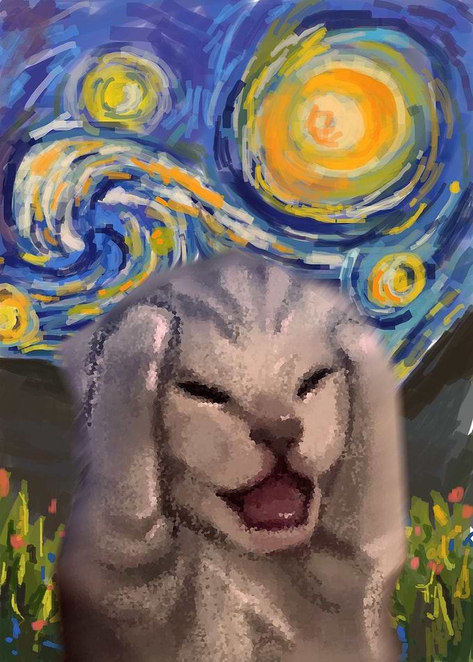screaming cat starry night