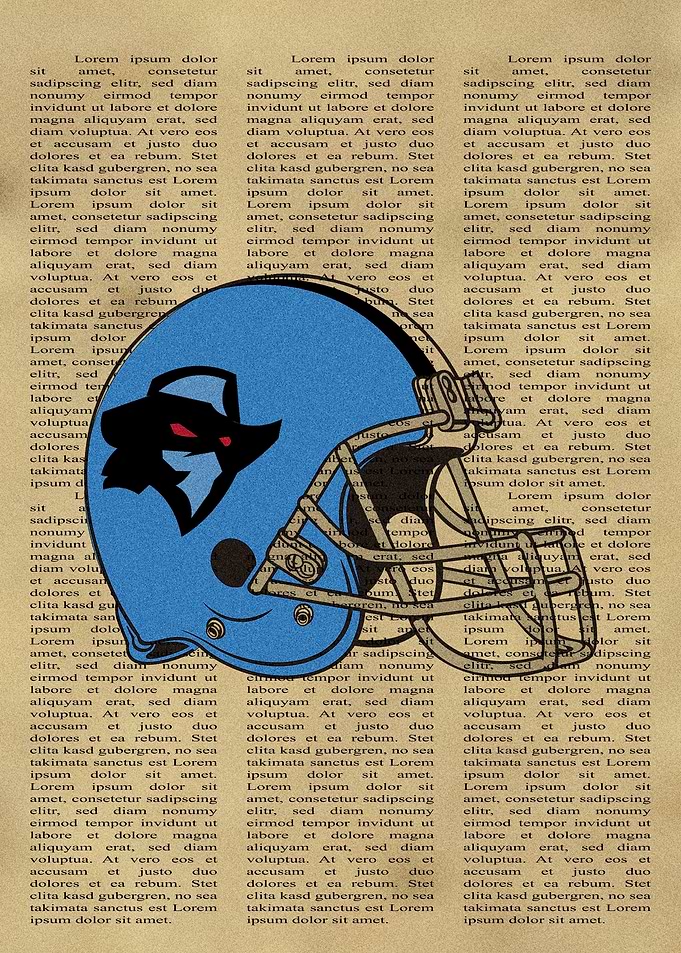 Arlington Renegades Helmet