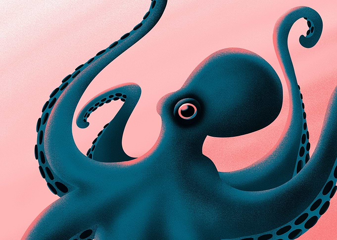 Vibrant Pink Octopus