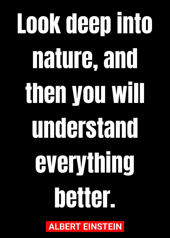 Quotes Albert Einstein