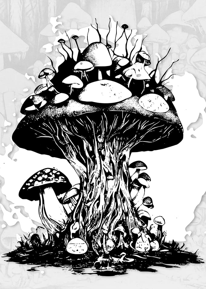 Mushrooms Soul