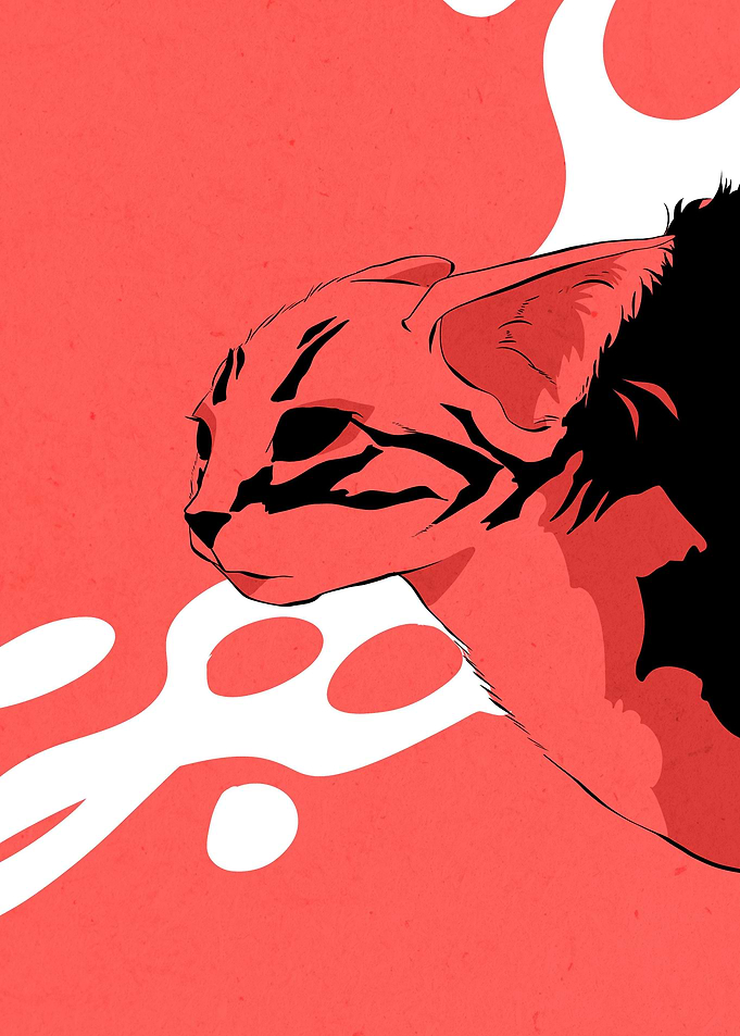 angry cat
