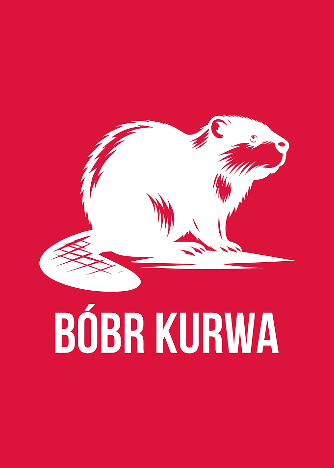 Bober Bobr Kurwa Meme