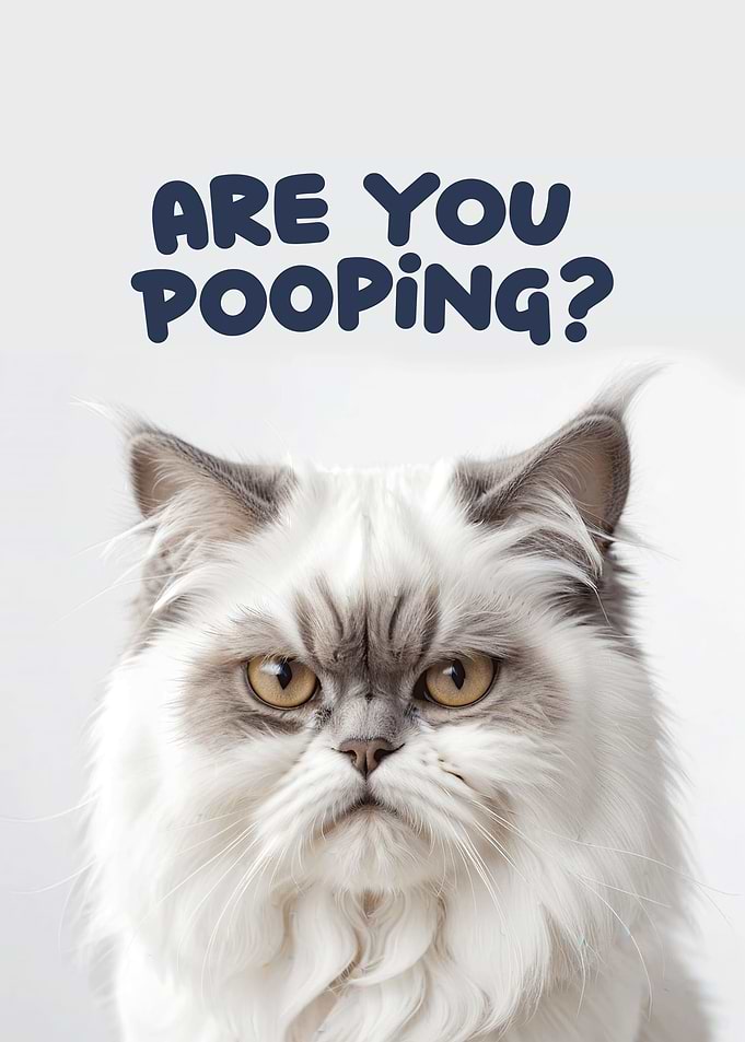 Funny cat toilet