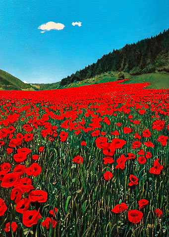 Poppies