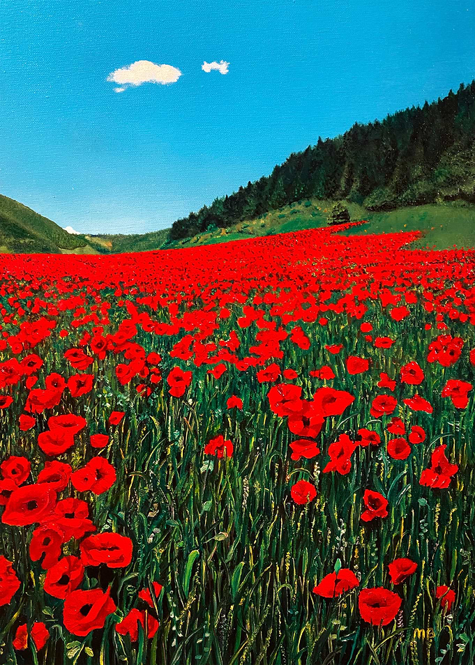 Poppies