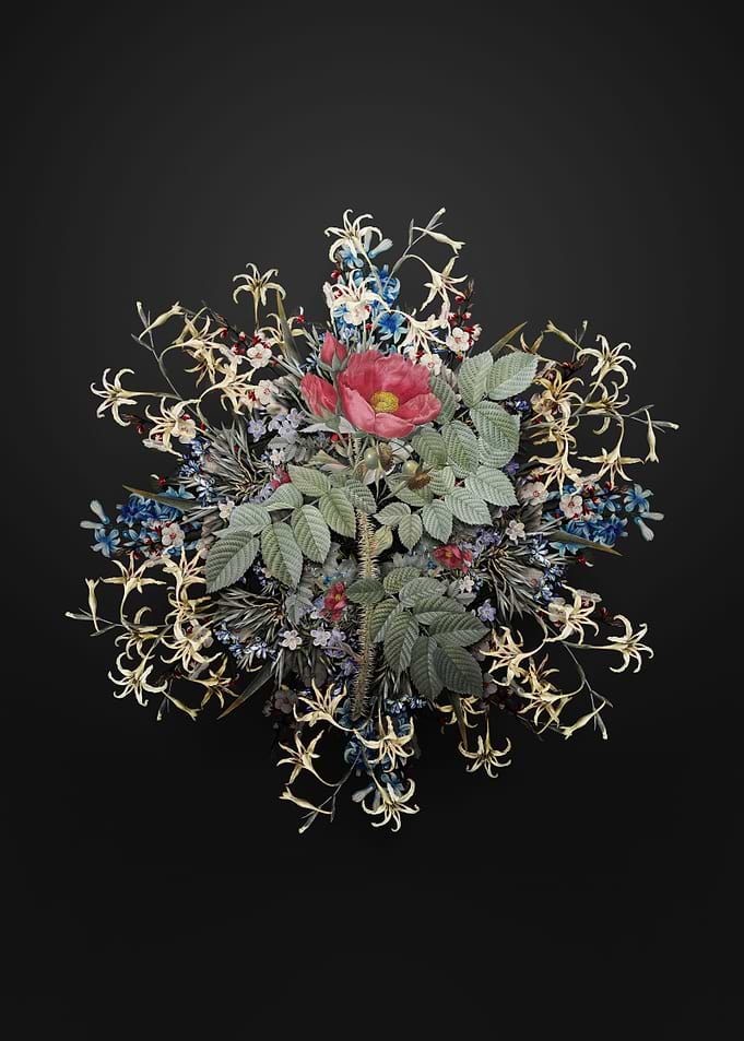 Kamtschatka Rose Wreath