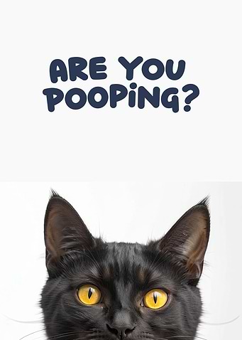 Funny cat toilet