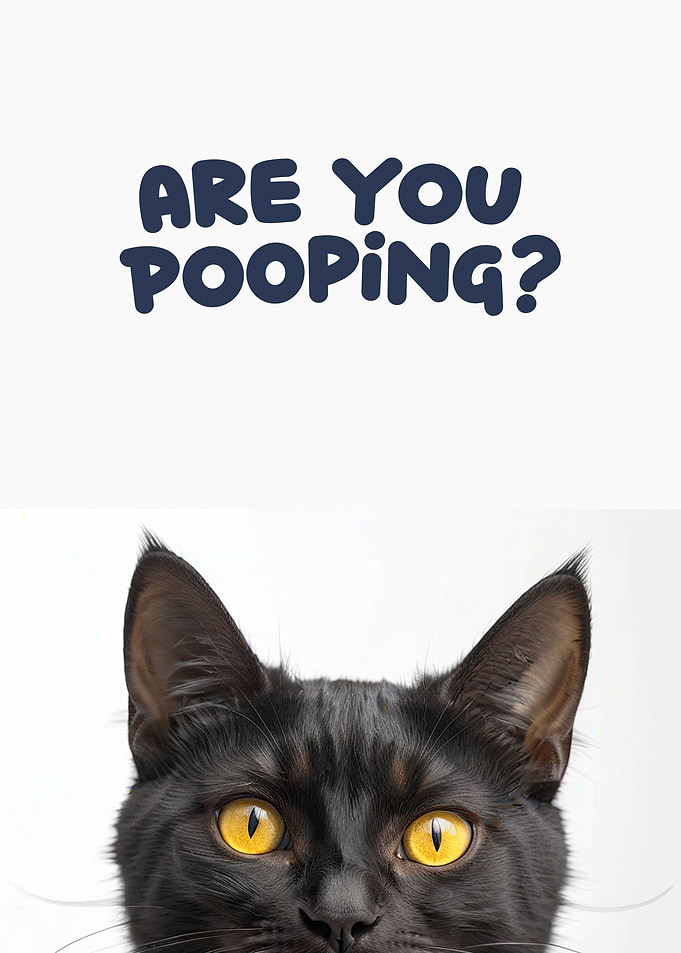 Funny cat toilet
