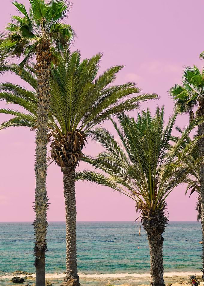 Tropical