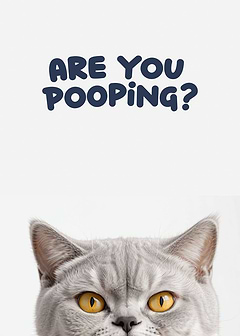 Funny cat toilet