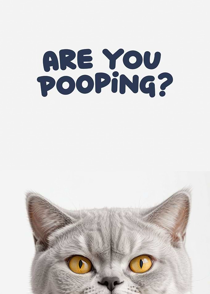 Funny cat toilet