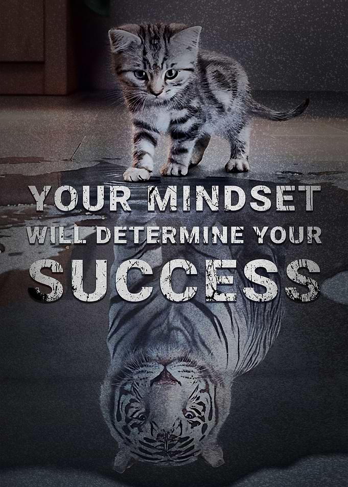 Mindset Determines Success