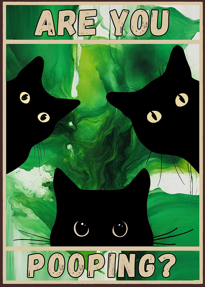 ARE YOU POOPING BLACK CAT
