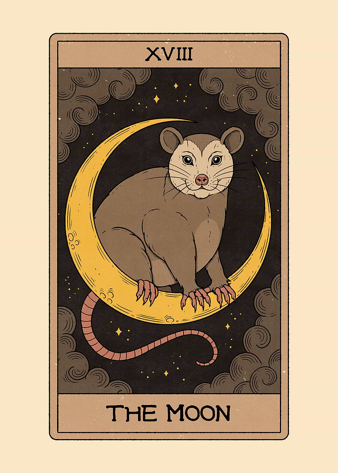 The Moon Possum Tarot