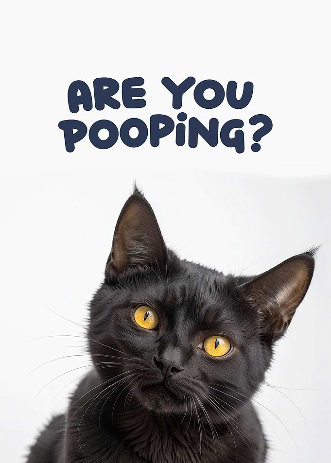 Funny cat toilet