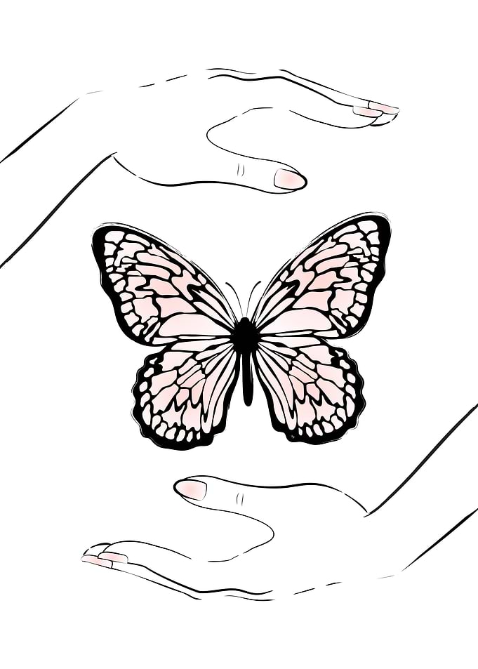 Holding butterfly
