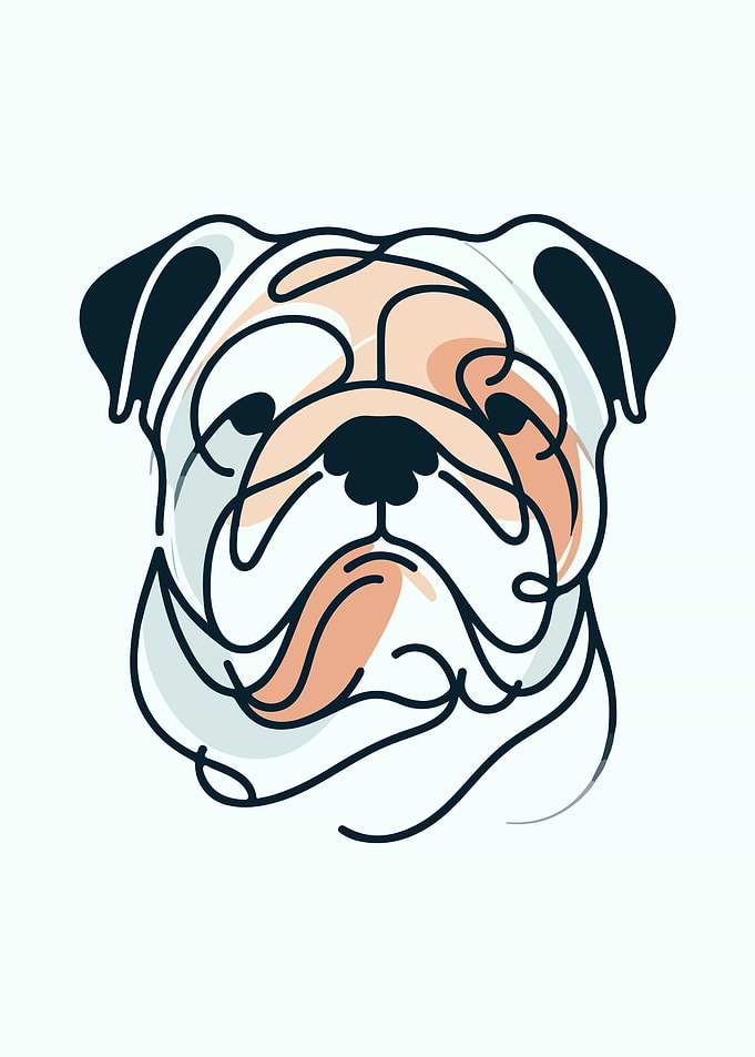 Gentle Bulldog