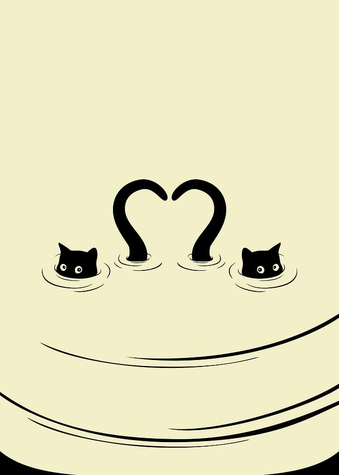 Cats Falling in Love